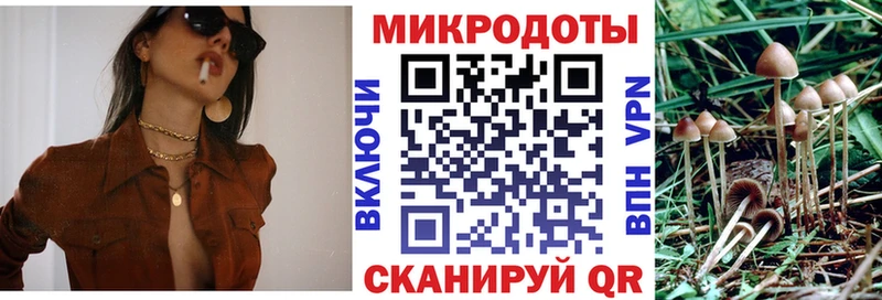 наркошоп  Донской  Псилоцибиновые грибы прущие грибы 