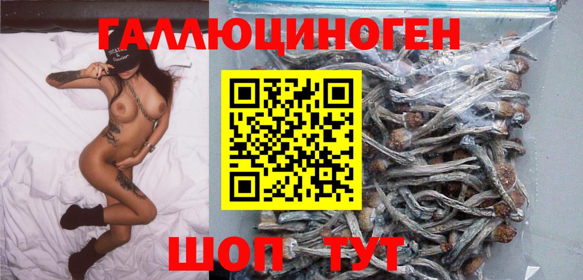 Канабис Донской