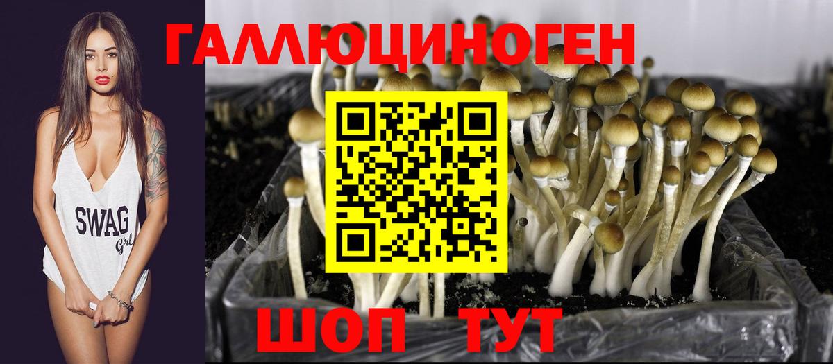 Псилоцибиновые грибы Magic Shrooms  Вход с VPN  Донской 